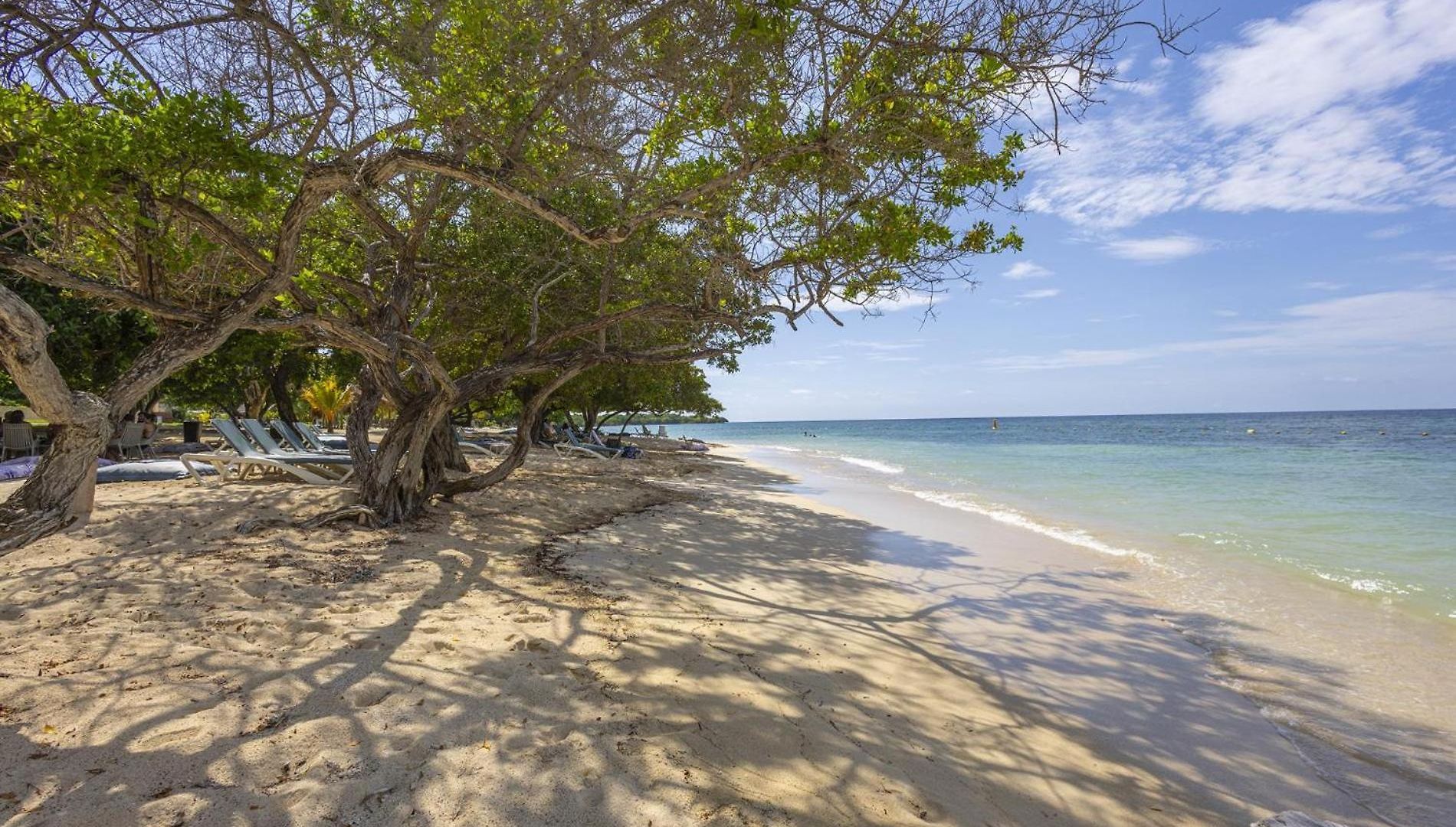 Apartamento 4br Seaview At Calablanca D5
